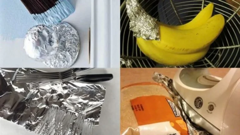 Apa Kelebihan Aluminium Foil